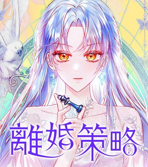 离婚策略封面